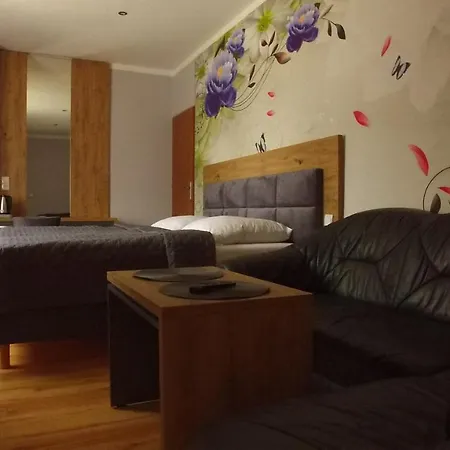 Homestay Gosciniec Pod Polna Roza *