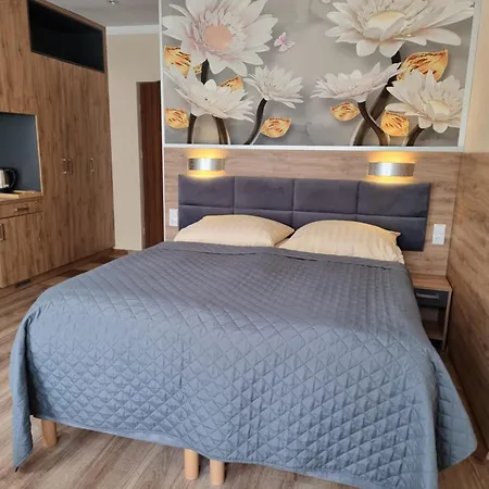 Gosciniec Pod Polna Roza * 미엥지즈드로예